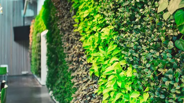 20 ایده ی جدید برای دکوراسیون دیوار 8 دیوار سبز